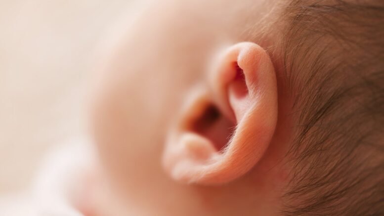 Babyøre meget tæt på