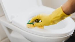 toilet